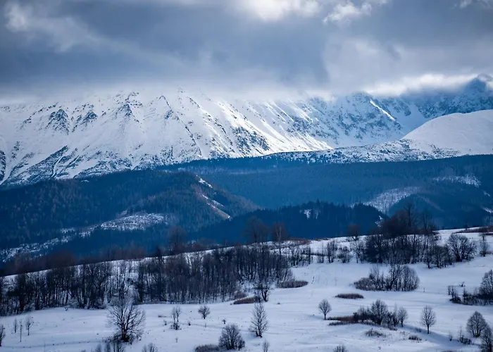 Harenda Ski&spa * Zakopane